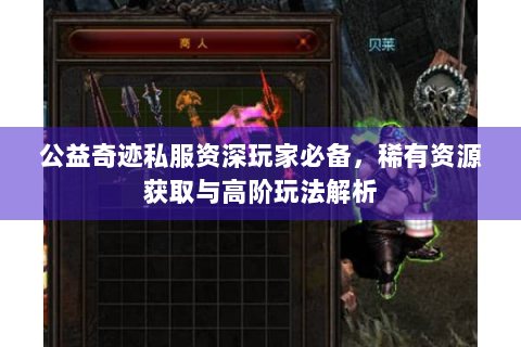 公益奇迹私服资深玩家必备，稀有资源获取与高阶玩法解析