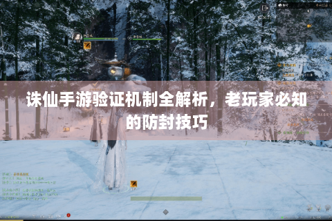 诛仙手游验证机制全解析，老玩家必知的防封技巧