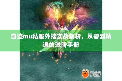 奇迹mu私服外挂实战解析，从零到精通的进阶手册