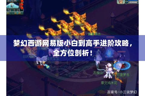 梦幻西游网易版小白到高手进阶攻略，全方位剖析！