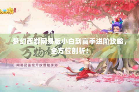 梦幻西游网易版小白到高手进阶攻略，全方位剖析！