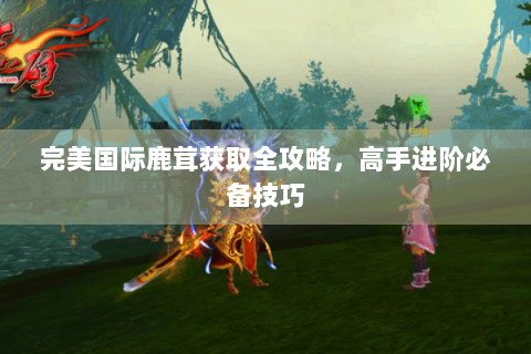 完美国际鹿茸获取全攻略，高手进阶必备技巧