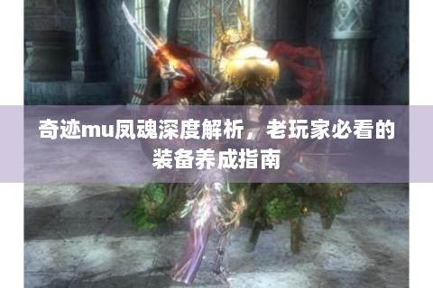 奇迹mu凤魂深度解析，老玩家必看的装备养成指南
