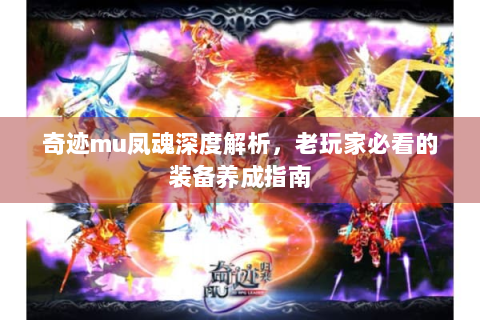 奇迹mu凤魂深度解析，老玩家必看的装备养成指南