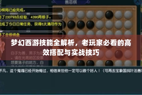 梦幻西游技能全解析，老玩家必看的高效搭配与实战技巧