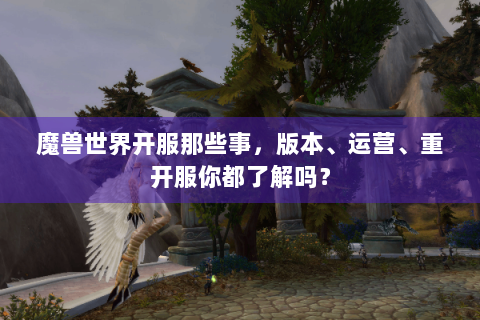 魔兽世界开服那些事，版本、运营、重开服你都了解吗？