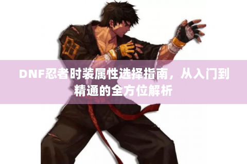 DNF忍者时装属性选择指南，从入门到精通的全方位解析