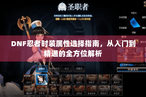 DNF忍者时装属性选择指南，从入门到精通的全方位解析