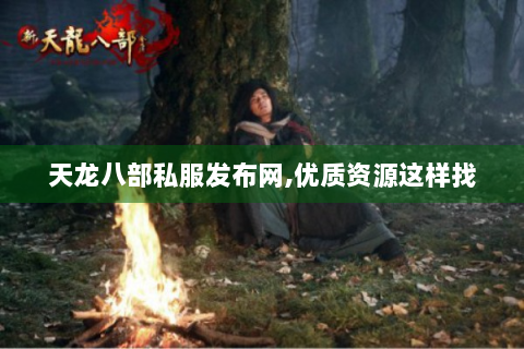 天龙八部私服发布网,优质资源这样找