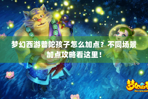 梦幻西游普陀孩子怎么加点？不同场景加点攻略看这里！