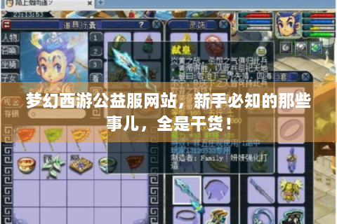 梦幻西游公益服网站，新手必知的那些事儿，全是干货！