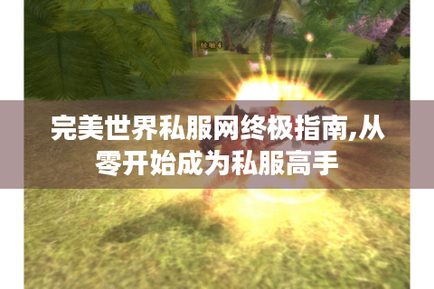 完美世界私服网终极指南,从零开始成为私服高手