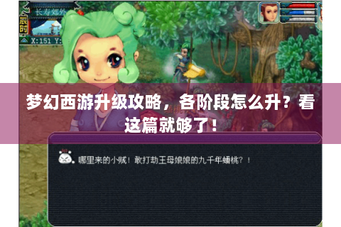 梦幻西游升级攻略，各阶段怎么升？看这篇就够了！