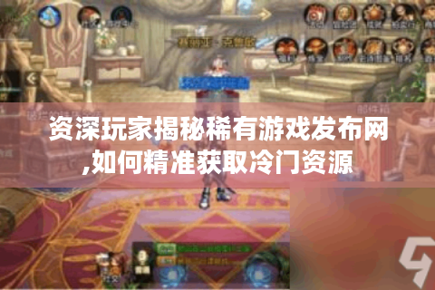 资深玩家揭秘稀有游戏发布网,如何精准获取冷门资源