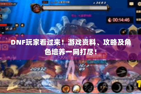 DNF玩家看过来！游戏资料、攻略及角色培养一网打尽！