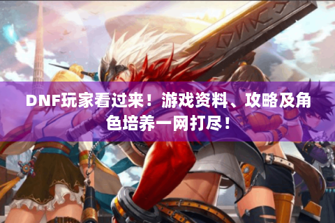 DNF玩家看过来！游戏资料、攻略及角色培养一网打尽！