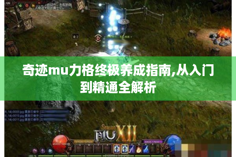奇迹mu力格终极养成指南,从入门到精通全解析