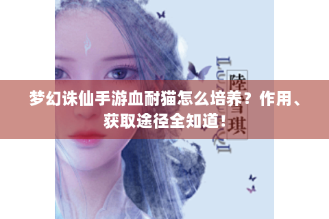梦幻诛仙手游血耐猫怎么培养？作用、获取途径全知道！