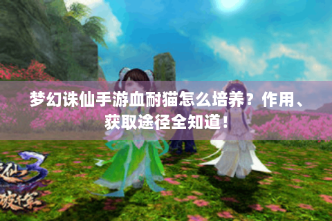 梦幻诛仙手游血耐猫怎么培养？作用、获取途径全知道！