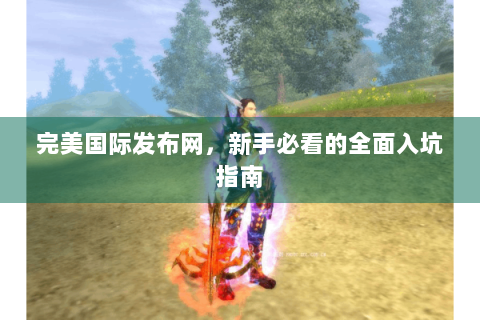 完美国际发布网，新手必看的全面入坑指南
