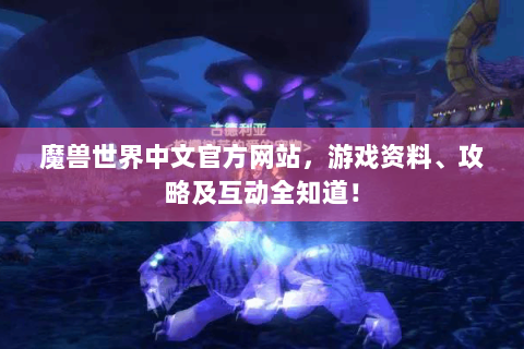 魔兽世界中文官方网站，游戏资料、攻略及互动全知道！
