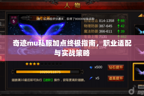 奇迹mu私服加点终极指南，职业适配与实战策略