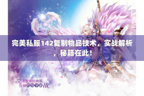 完美私服142复制物品技术，实战解析，秘籍在此！
