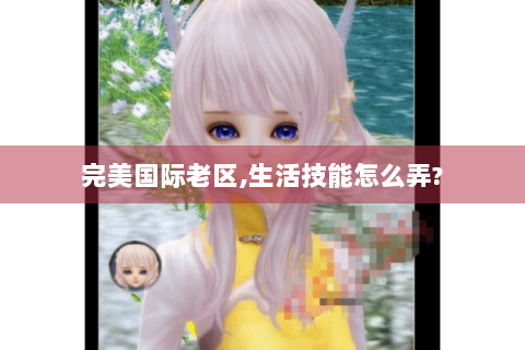 完美国际老区,生活技能怎么弄?