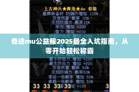 奇迹mu公益服2025最全入坑指南，从零开始轻松称霸