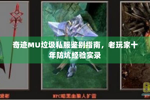奇迹MU垃圾私服鉴别指南，老玩家十年防坑经验实录