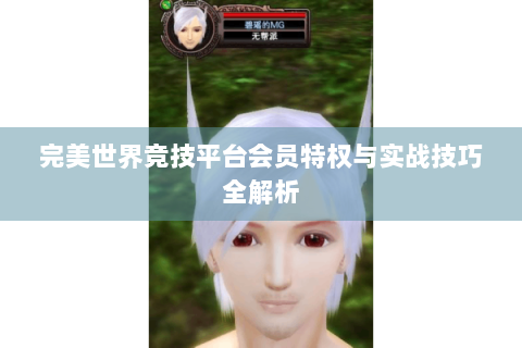完美世界竞技平台会员特权与实战技巧全解析