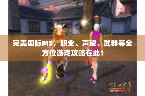 完美国际MS，职业、声望、武器等全方位游戏攻略在此！