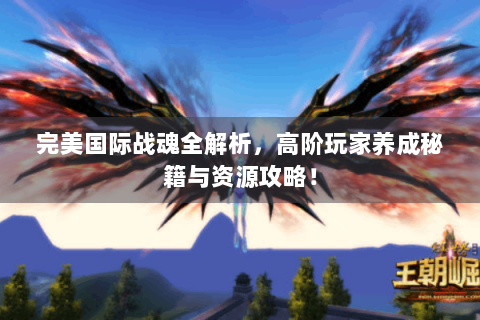 完美国际战魂全解析，高阶玩家养成秘籍与资源攻略！