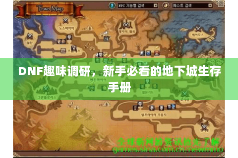 DNF趣味调研，新手必看的地下城生存手册