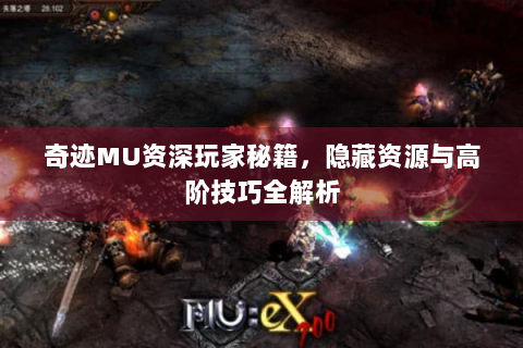 奇迹MU资深玩家秘籍，隐藏资源与高阶技巧全解析