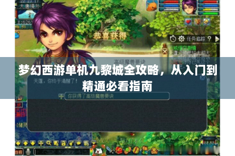 梦幻西游单机九黎城全攻略，从入门到精通必看指南