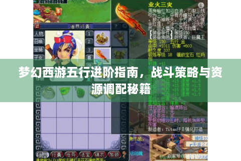 梦幻西游五行进阶指南，战斗策略与资源调配秘籍