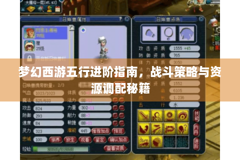 梦幻西游五行进阶指南，战斗策略与资源调配秘籍