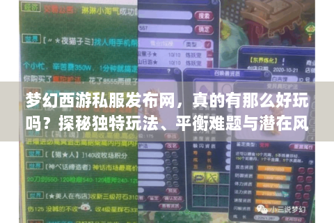 梦幻西游私服发布网，真的有那么好玩吗？探秘独特玩法、平衡难题与潜在风险
