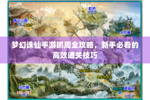 梦幻诛仙手游抓周全攻略，新手必看的高效通关技巧