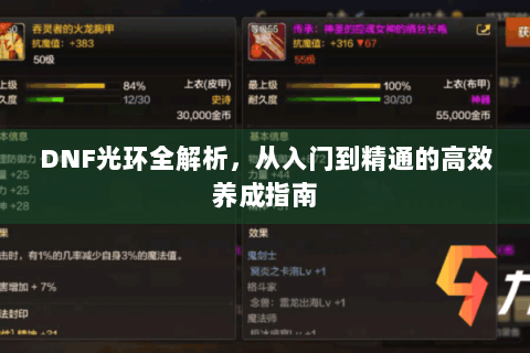 DNF光环全解析，从入门到精通的高效养成指南