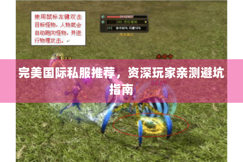 完美国际私服推荐，资深玩家亲测避坑指南