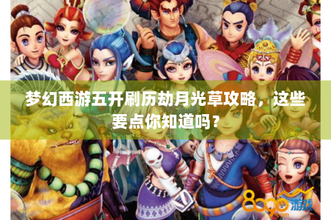梦幻西游五开刷历劫月光草攻略，这些要点你知道吗？