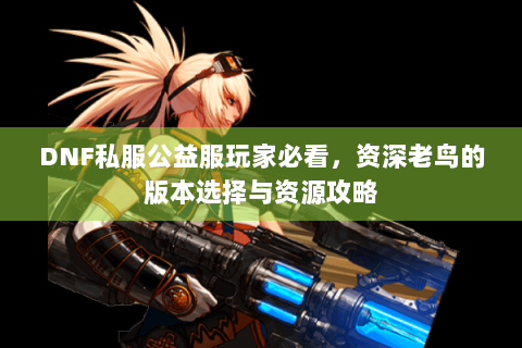 DNF私服公益服玩家必看，资深老鸟的版本选择与资源攻略