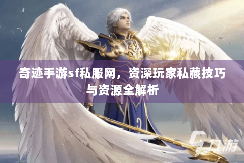 奇迹手游sf私服网，资深玩家私藏技巧与资源全解析