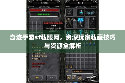 奇迹手游sf私服网，资深玩家私藏技巧与资源全解析