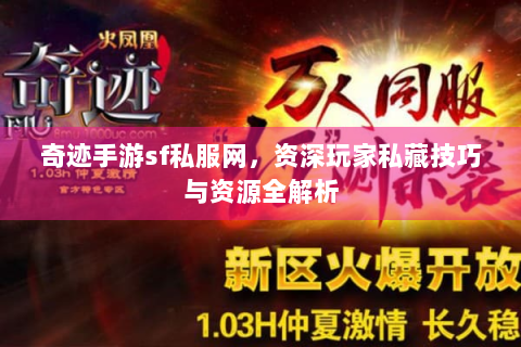奇迹手游sf私服网，资深玩家私藏技巧与资源全解析