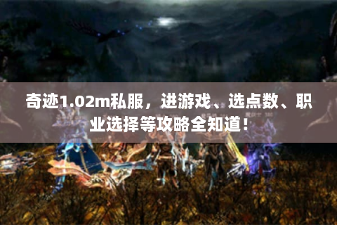 奇迹1.02m私服，进游戏、选点数、职业选择等攻略全知道！