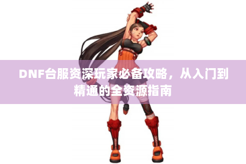 DNF台服资深玩家必备攻略，从入门到精通的全资源指南
