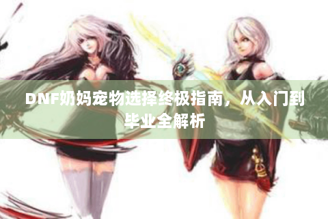 DNF奶妈宠物选择终极指南，从入门到毕业全解析